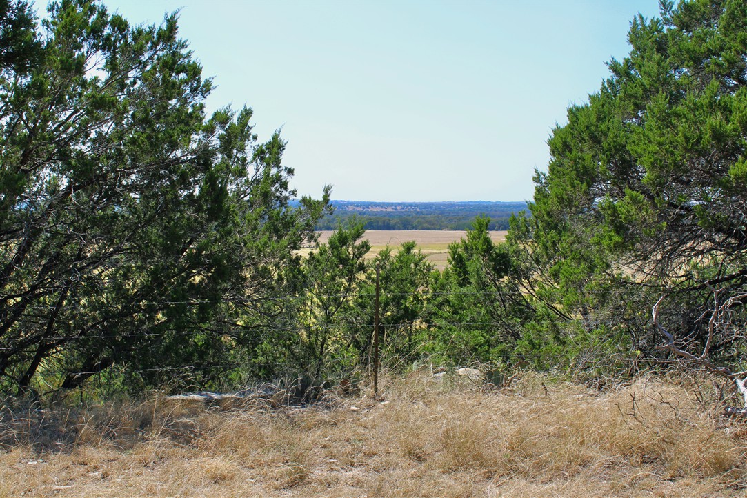 543 County Road 4620 Kempner, TX 76539 - Photo 25 of 36 a view of a yard with plants and a tree