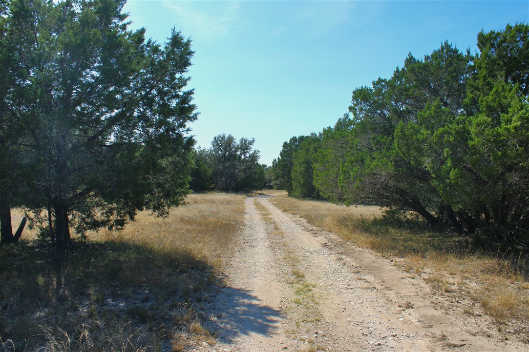 543 County Road 4620 Kempner, TX 76539 - Photo 29 of 36 a view of a yard with plants and trees