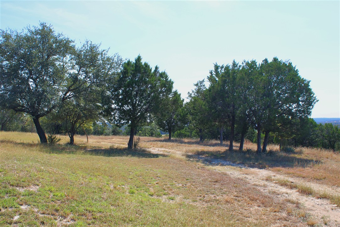 543 County Road 4620 Kempner, TX 76539 - Photo 33 of 36 a view of empty area with tree s