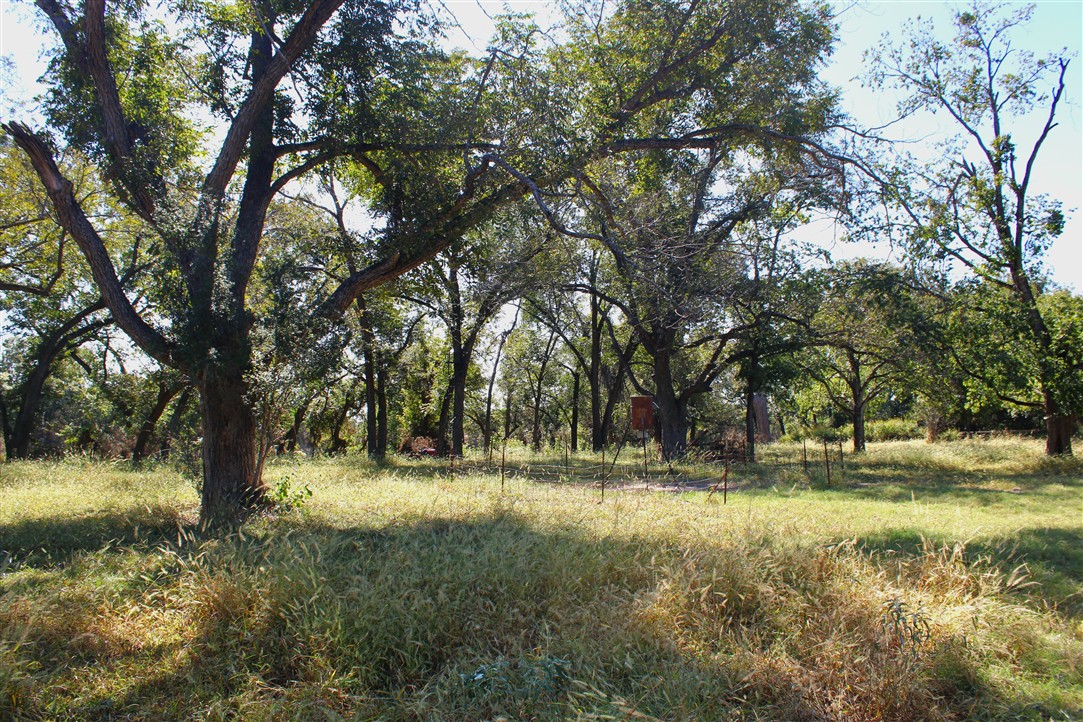 543 County Road 4620 Kempner, TX 76539 - Photo 35 of 36 a view of outdoor space with trees all around