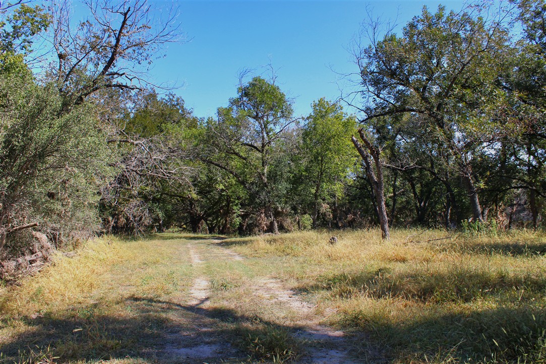 543 County Road 4620 Kempner, TX 76539 - Photo 36 of 36 a view of a yard with a tree