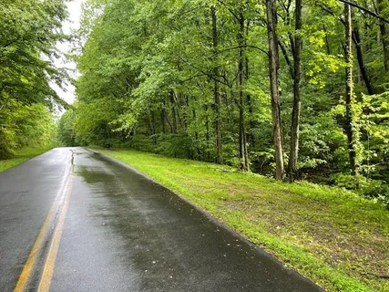 $329,000 | 0 East Price Creek Road, Jasper, GA 30143