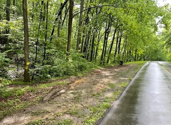 a view of backyard with green space