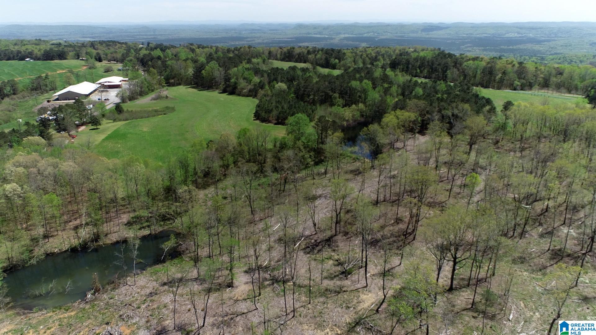0 Loop Road, Unit 14 34 ACRES Steele, AL 35987 - Photo 5 of 5 Gallery Image 5