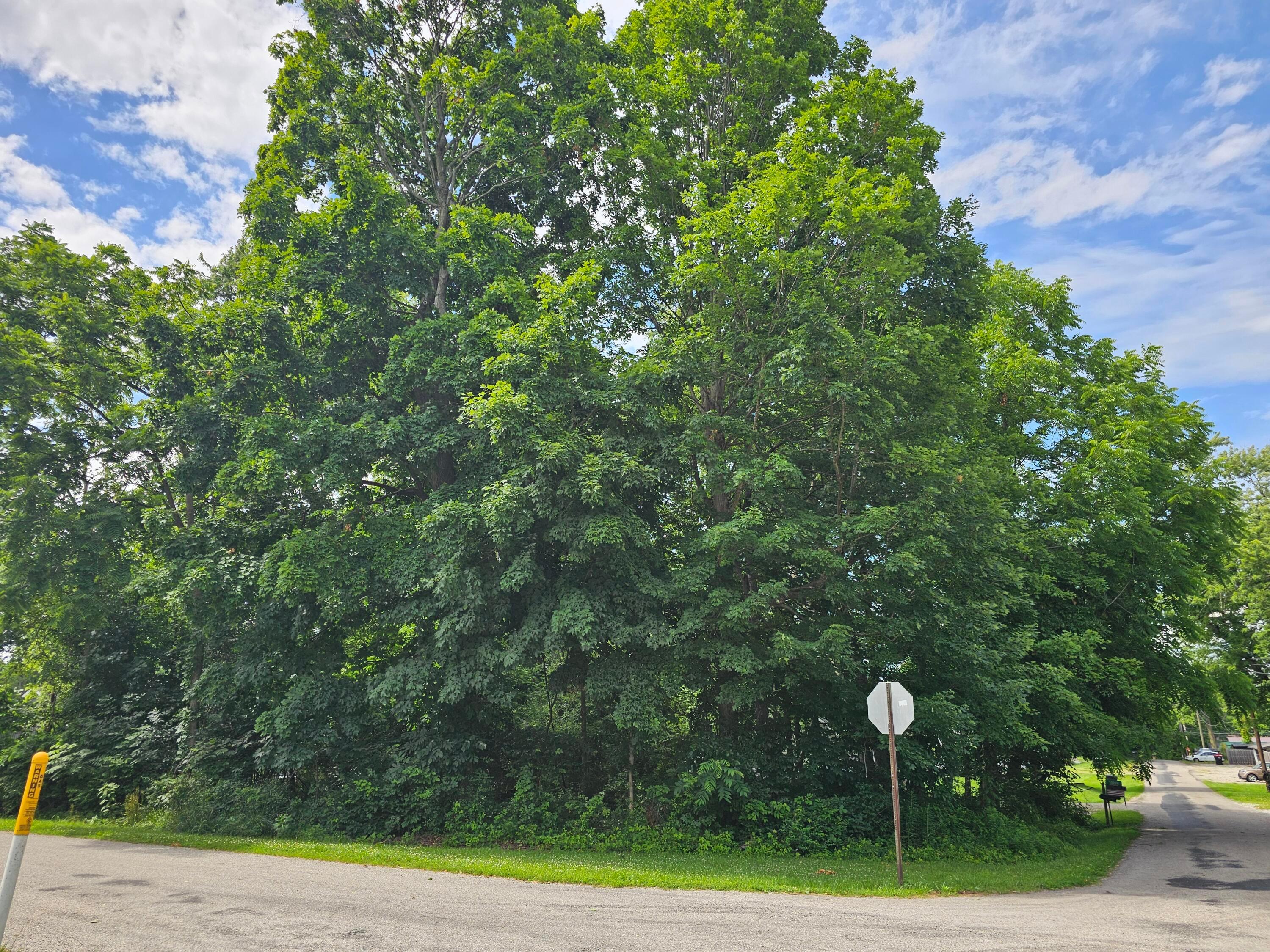 0 Beaver Road Northeast Thornville, OH 43076 - Photo 7 of 15