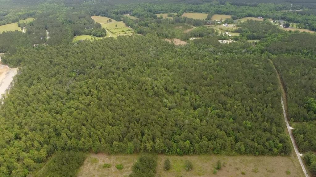 6 Walker Road Ridgeville, SC 29472 - Photo 8 of 10 07