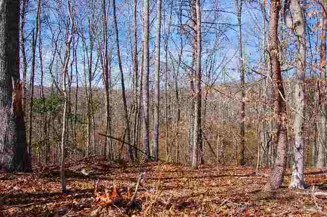 235 South Harrison Bridge Road Simpsonville, SC 29680 - Photo 2 of 4