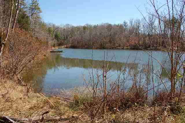 235 South Harrison Bridge Road Simpsonville, SC 29680 - Photo 3 of 4