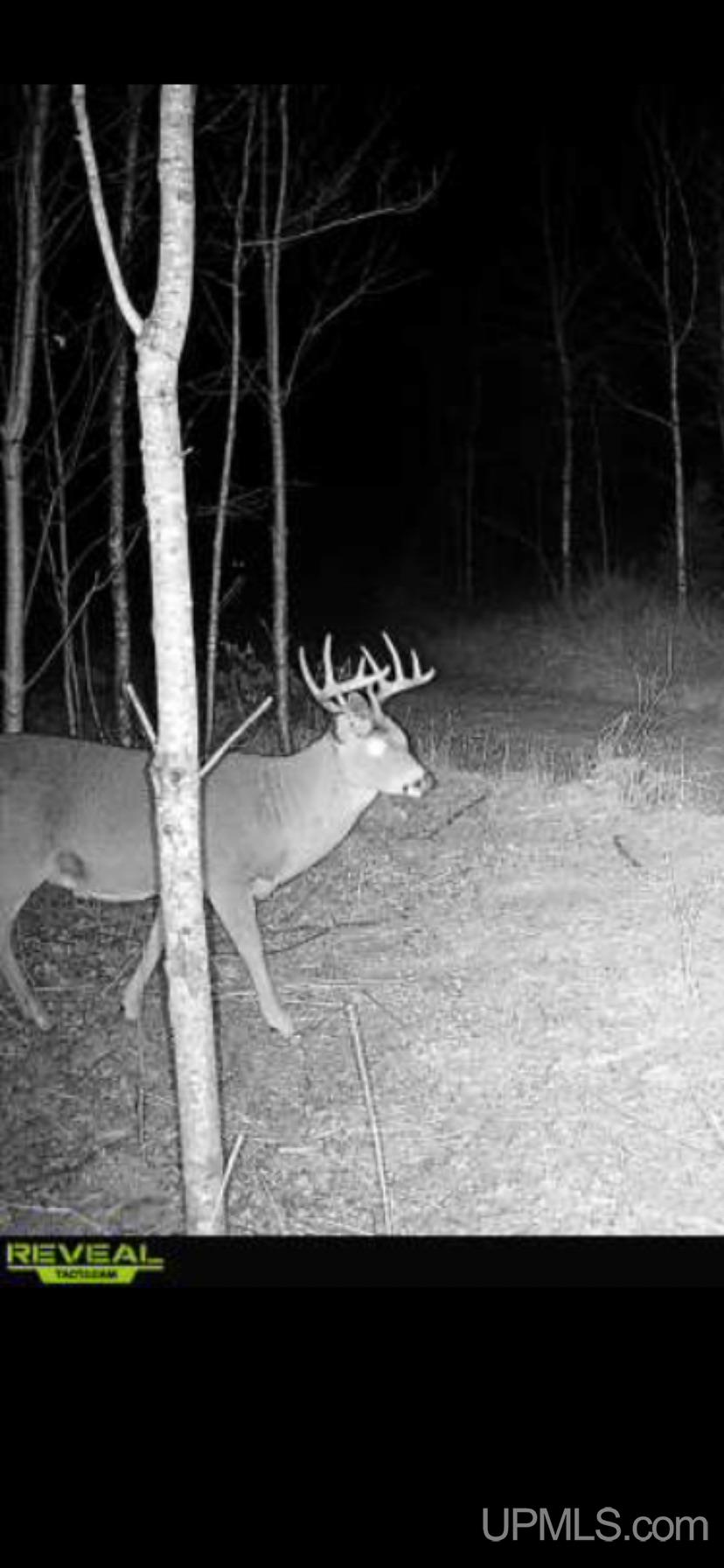6072 Big Lick Lake Road Ishpeming, MI 49849 - Photo 47 of 90