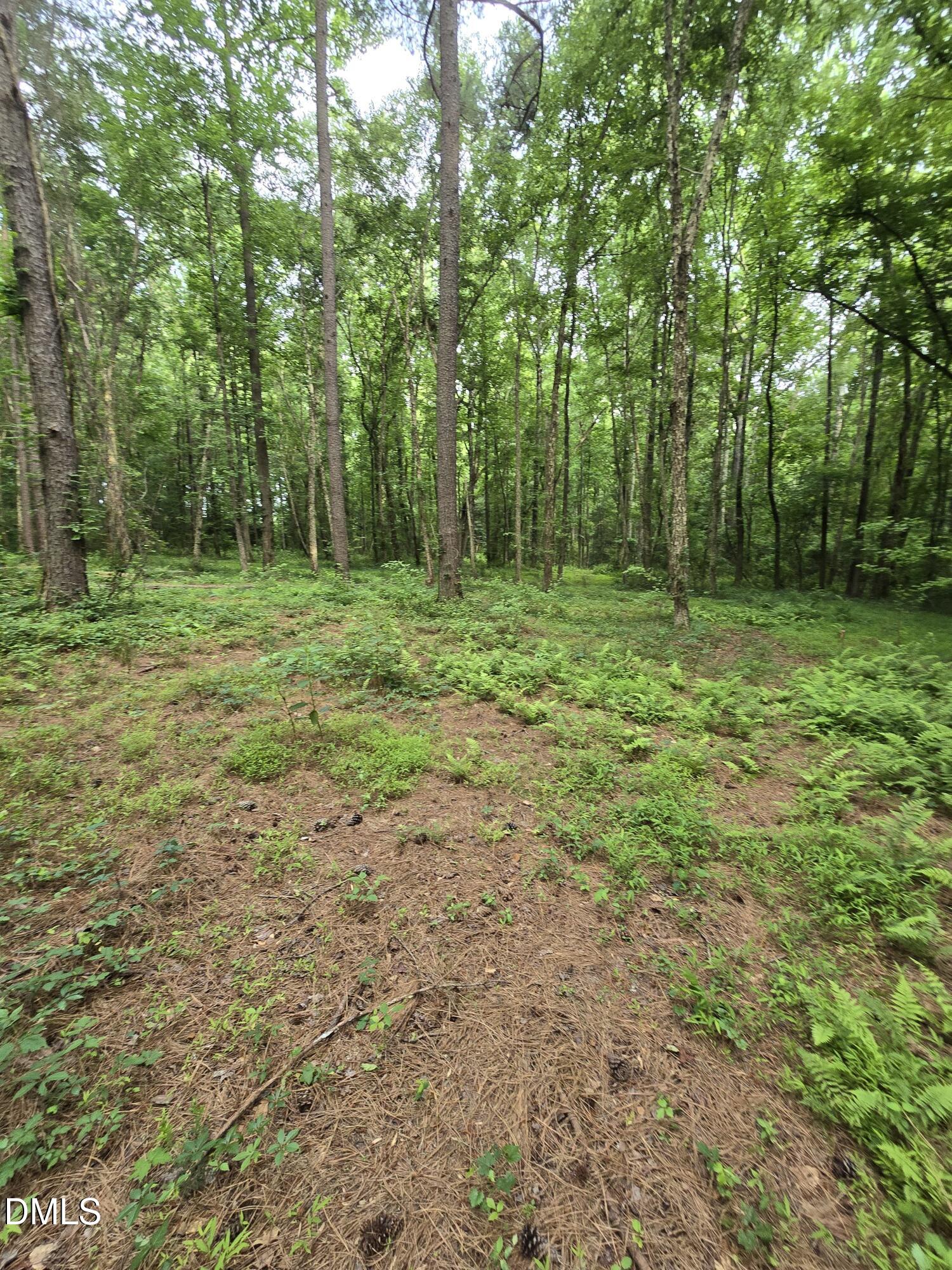 0 Honeycutt Road Willow Spring, NC 27592 - Photo 8 of 18 IMG-20260531-WA0043