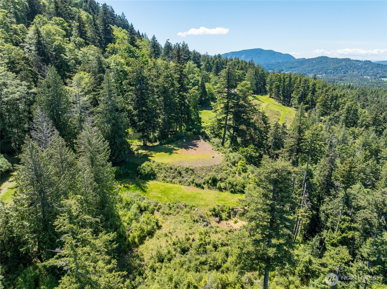 463 Wright Road Orcas Island, WA 98245 - Photo 38 of 40 a view of a green field with lots of bushes