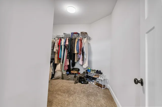 a view of a closet with storage