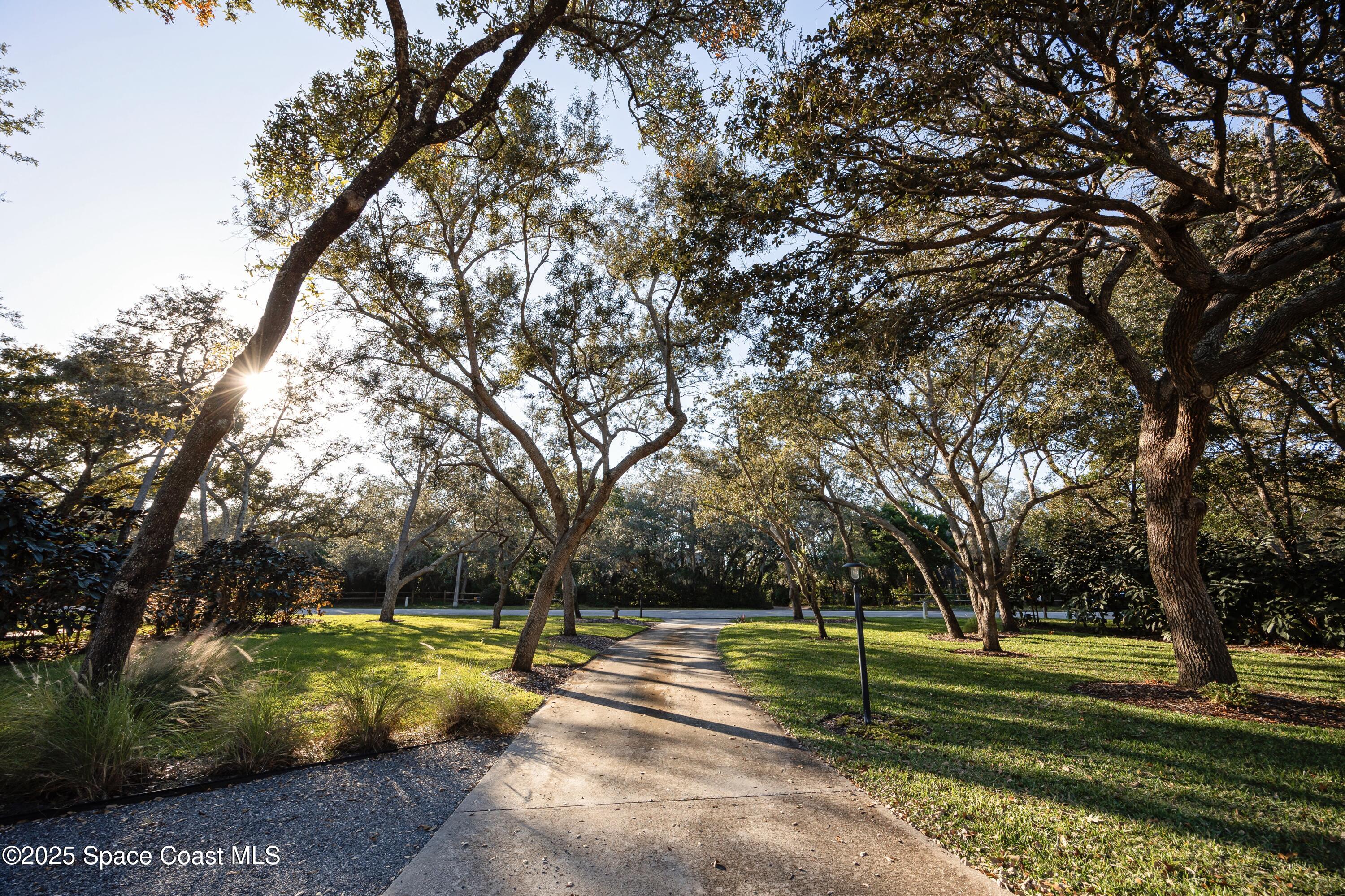 3425 Kent Drive Melbourne, FL 32935 - Photo 3 of 21 a view of a park with large trees