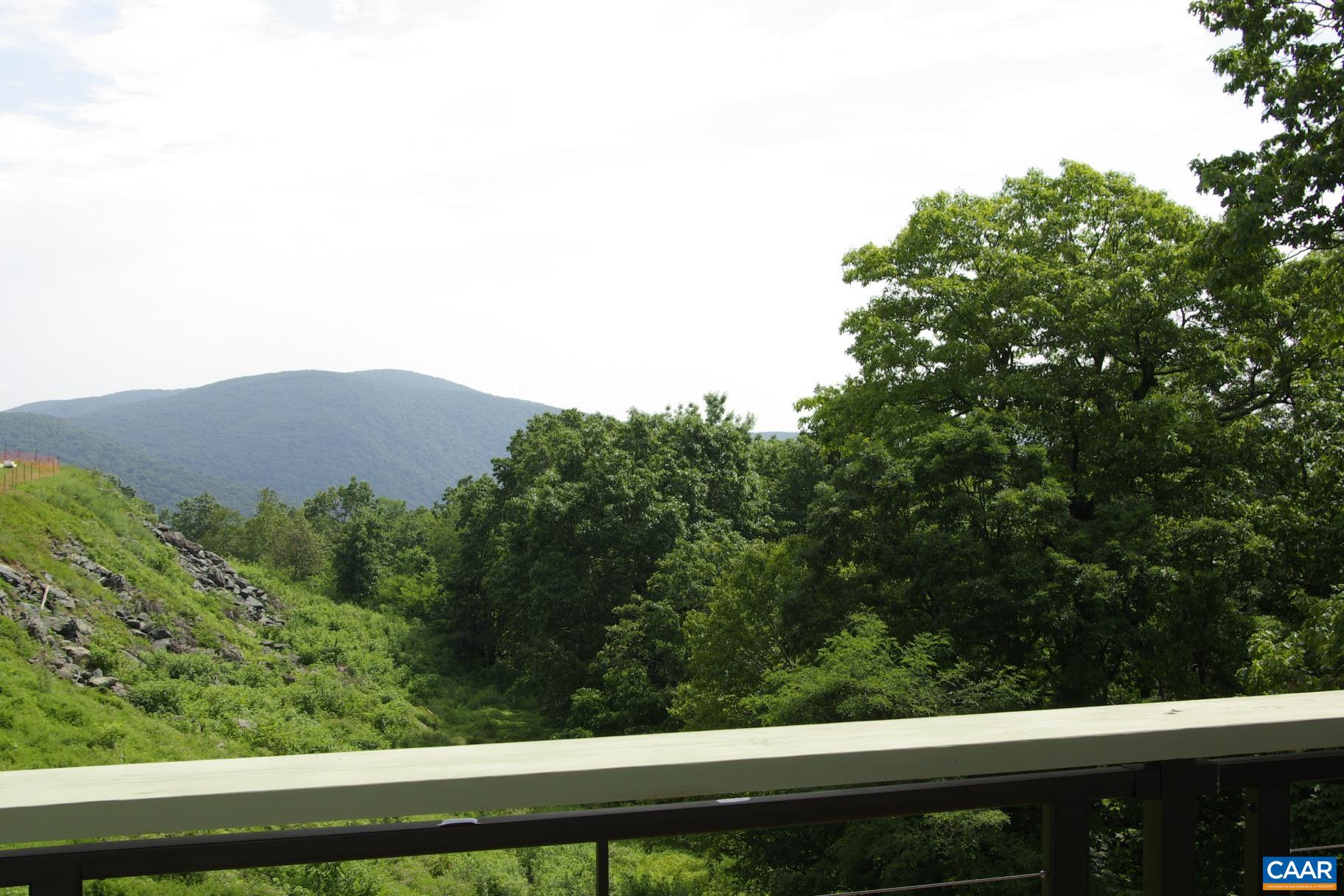 1723 High Ridge Roseland, VA 22967 - Photo 13 of 41