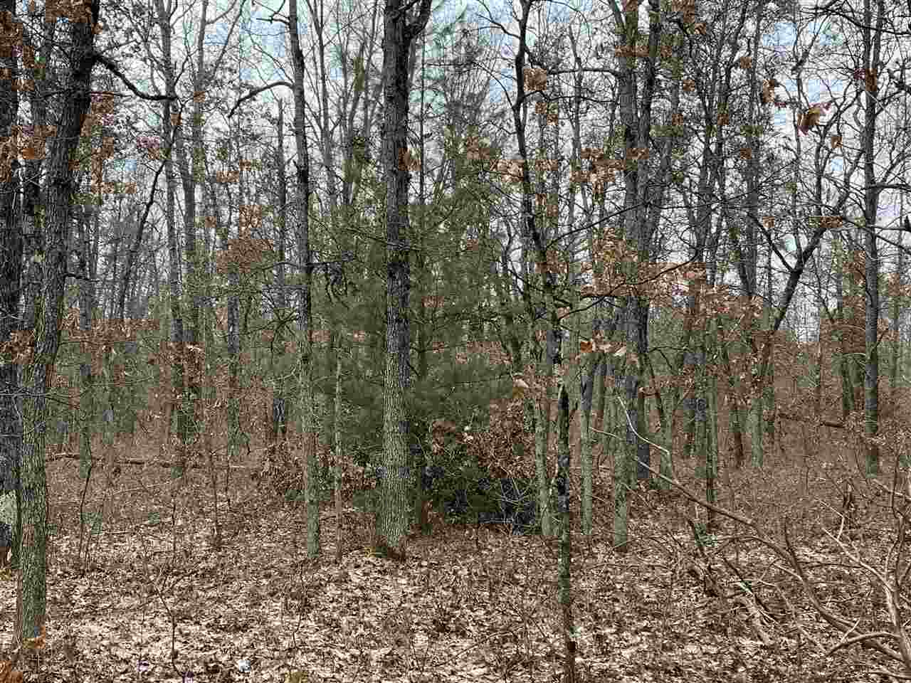 0 East Hoague Road Free Soil, MI 49411 - Photo 1 of 5