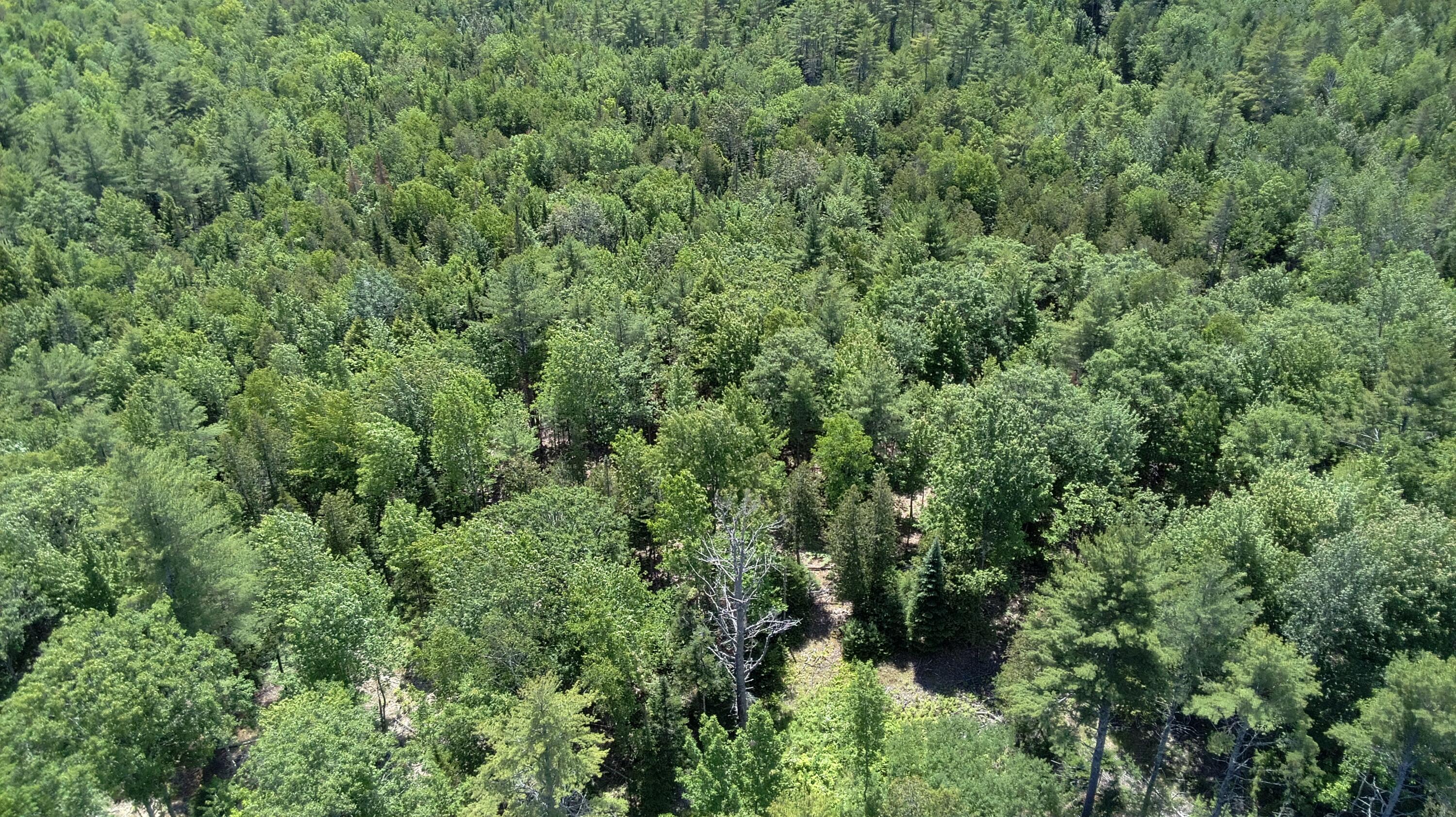 5 Fickett Road Etna, ME 04434 - Photo 17 of 23