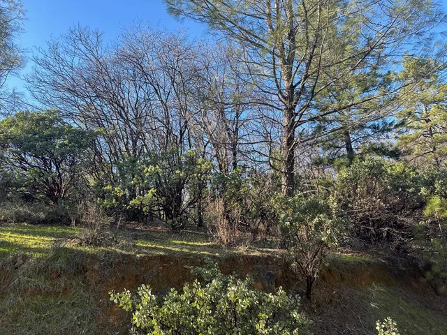 a view of yard with green space