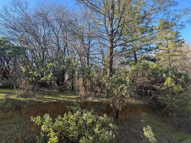 a view of a city with lush green forest