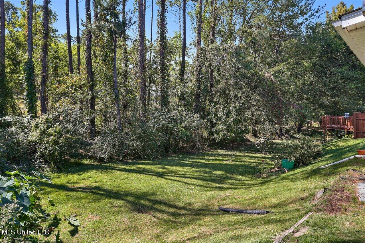 121 Kings Ridge Drive Brandon, MS 39047 - Photo 20 of 20 19-121 Kings Ridge Dr