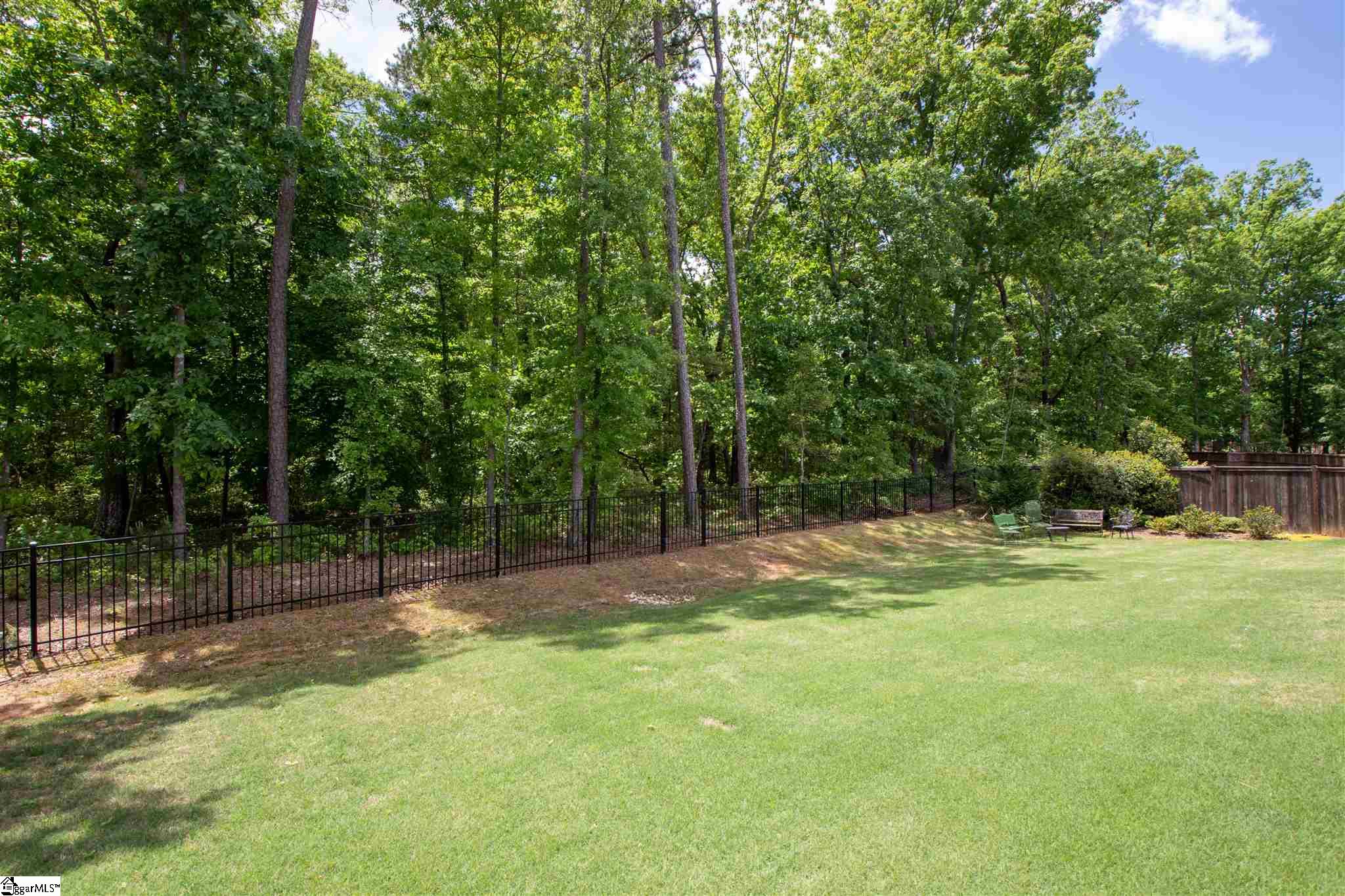 117 Belgian Blue Way Fountain Inn, SC 29644 - Photo 32 of 35 Gallery Image 32