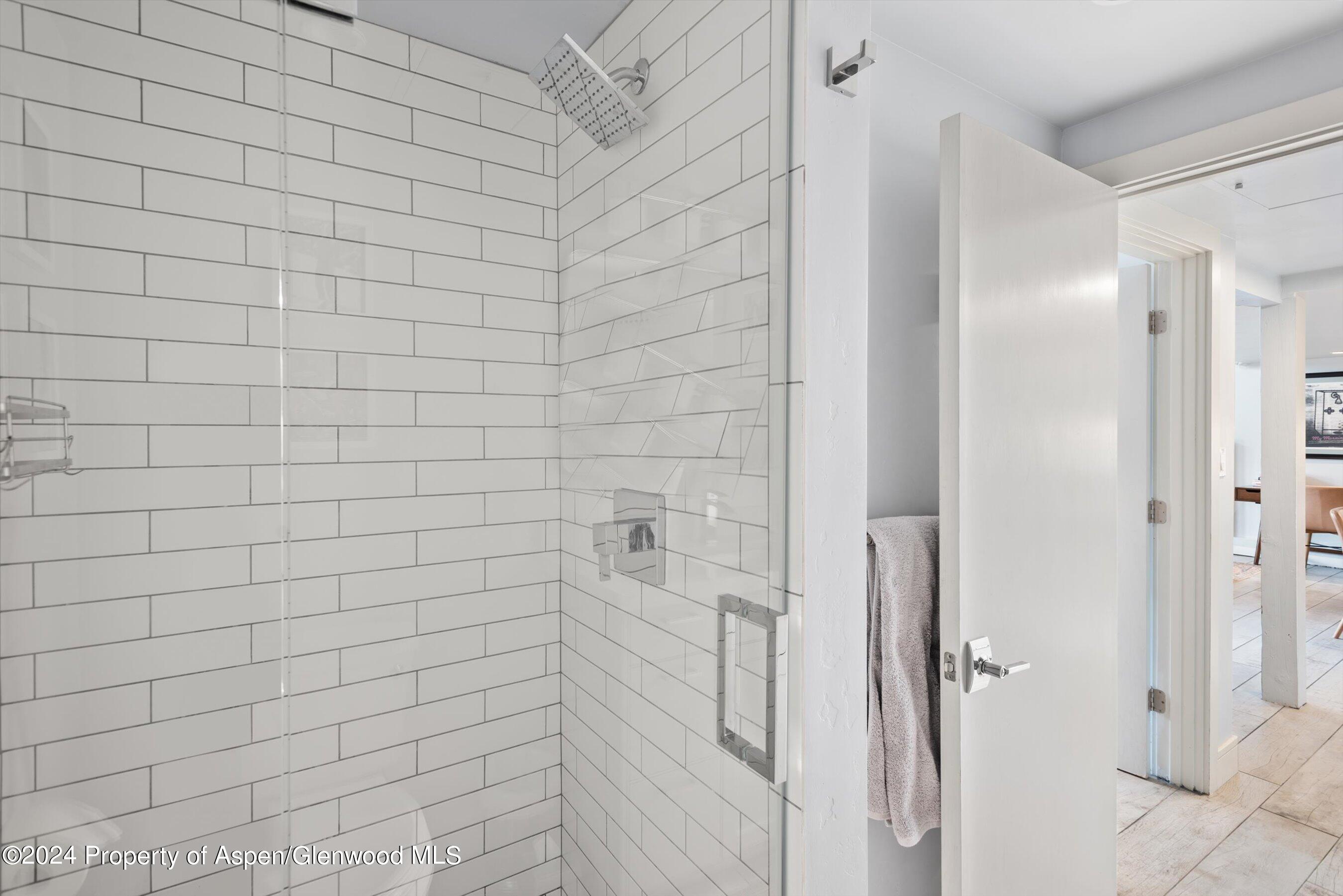 800 South Mill Street, Unit 102C Aspen, CO 81611 - Photo 15 of 23 a bathroom with a shower
