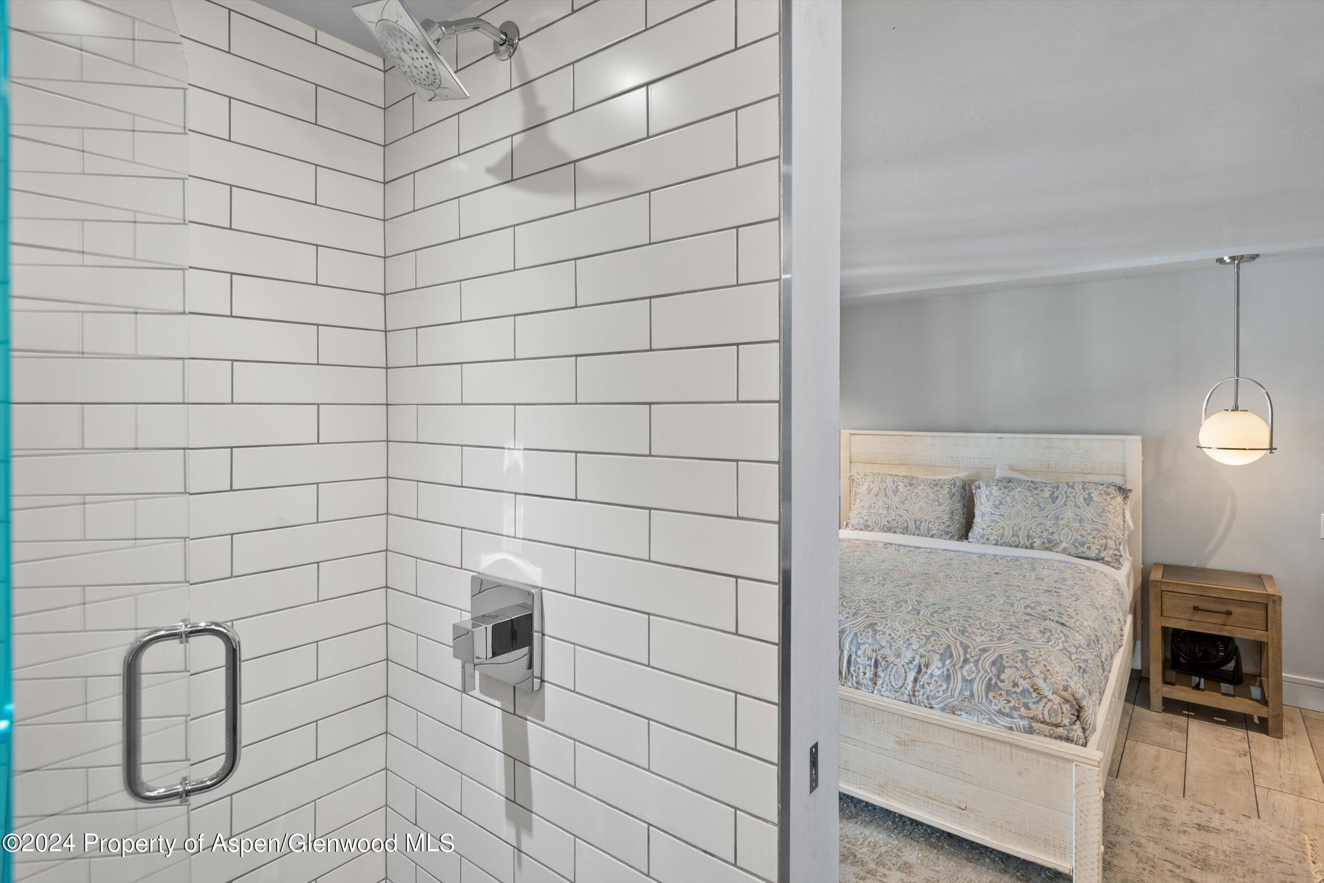 800 South Mill Street, Unit 102C Aspen, CO 81611 - Photo 21 of 23 a bathroom with a shower