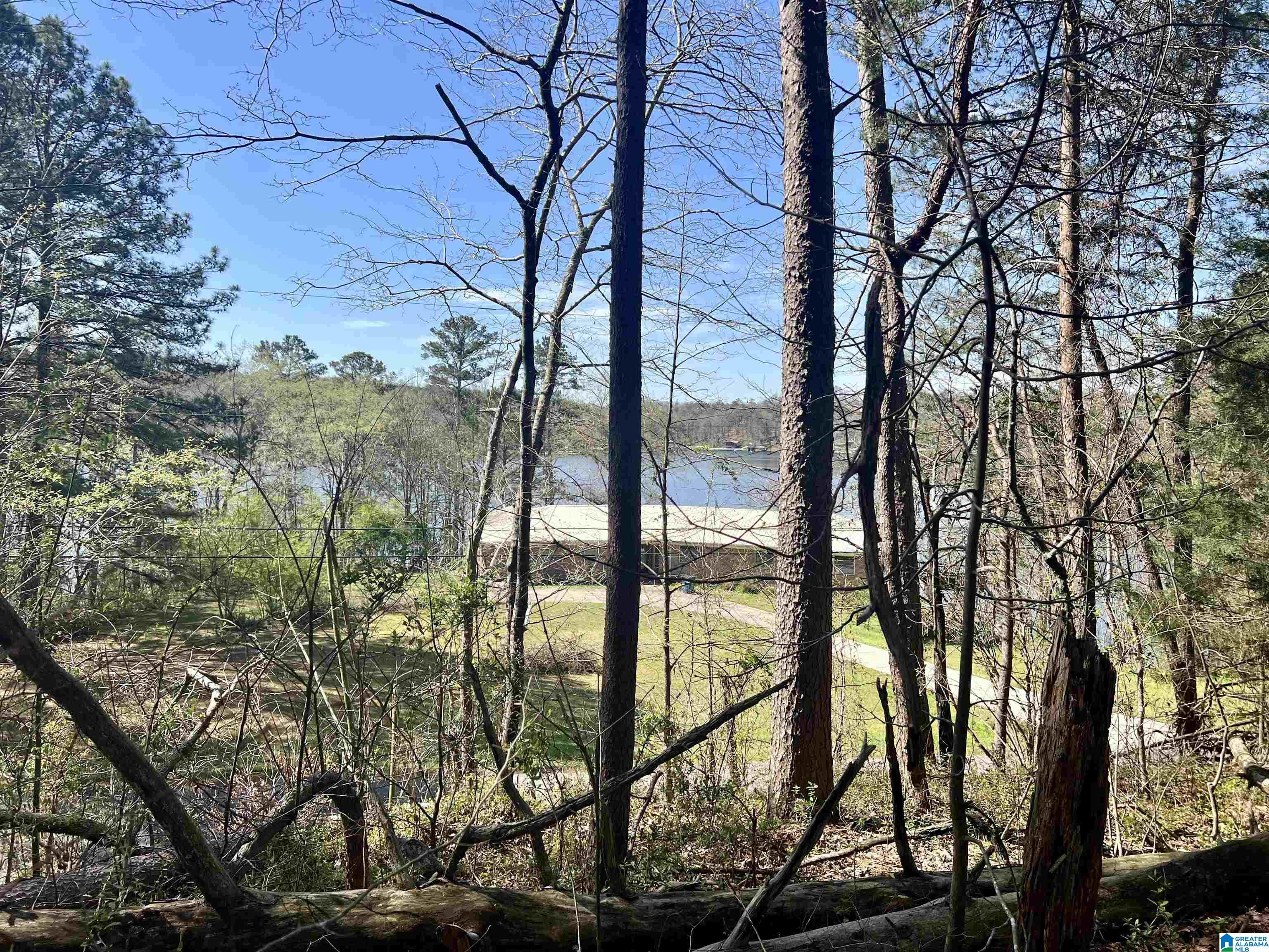 0 Lakeshore Lane, Unit 4 Oneonta, AL 35121 - Photo 4 of 49