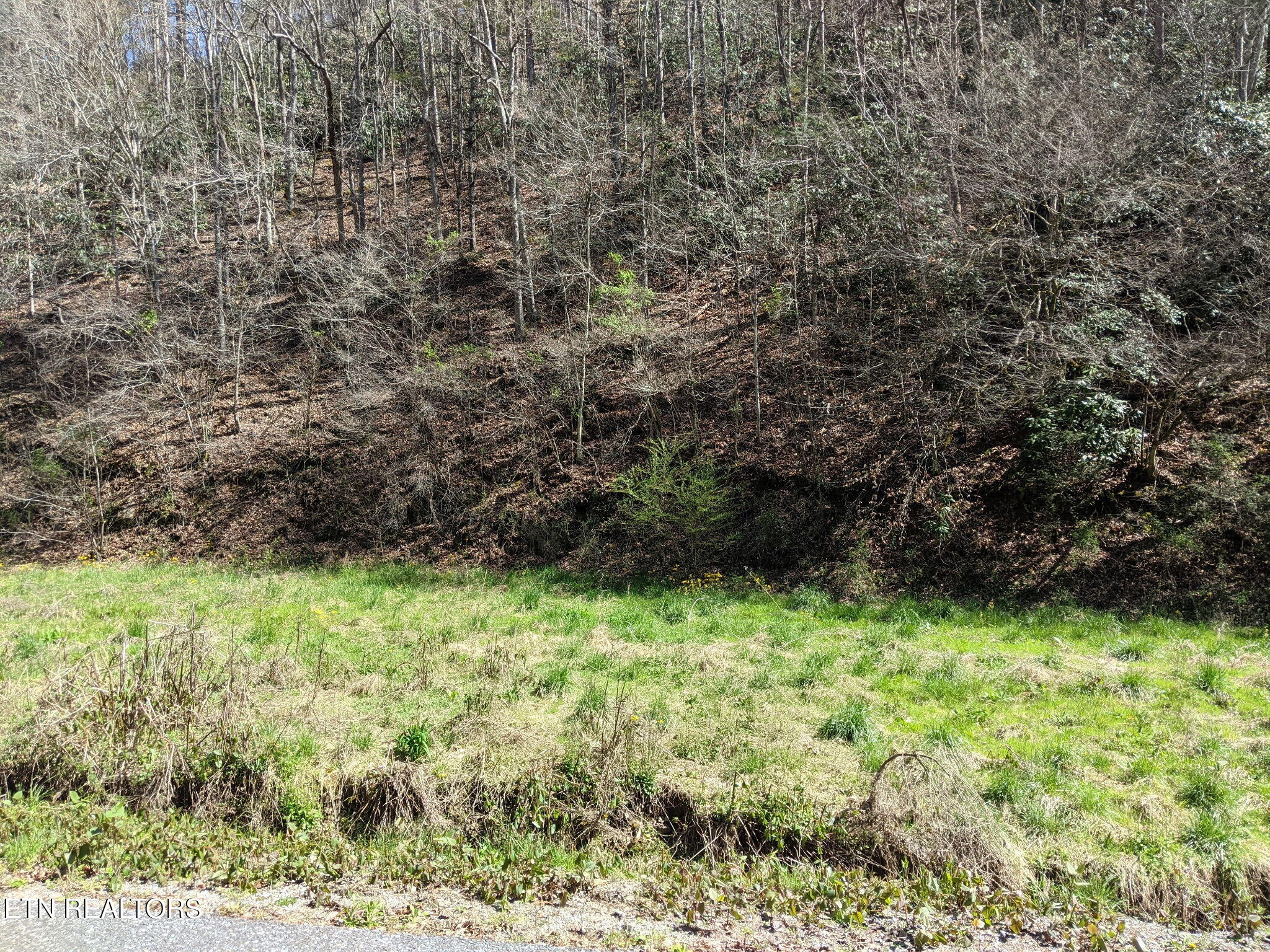 760 Black Branch Road Del Rio, TN 37727 - Photo 13 of 16 760 Black Branch R