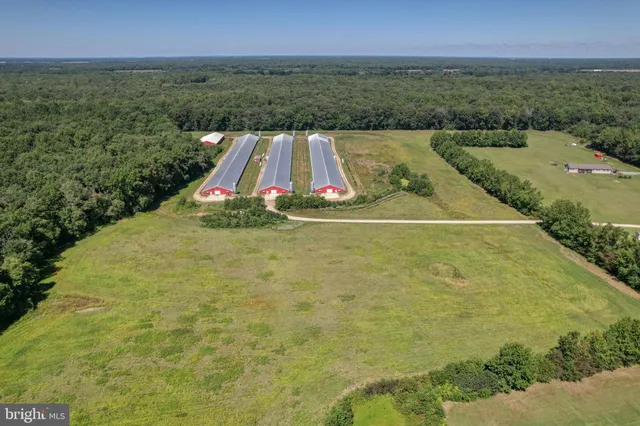 a view of a tennis court