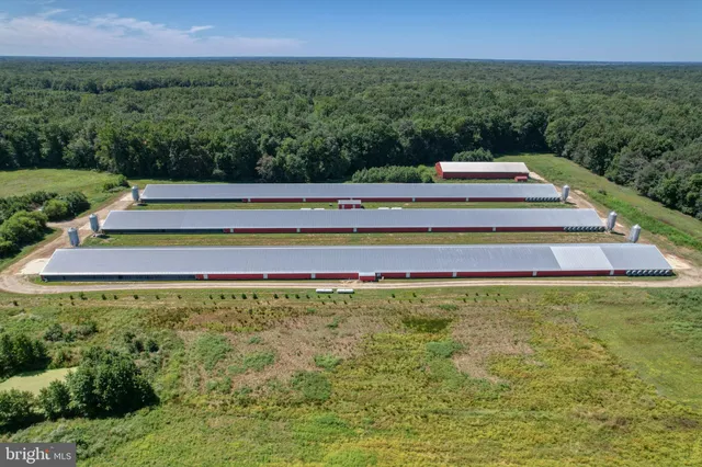 a view of sitting area with lots of green space and mountain view in back
