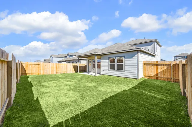 a view of a backyard with plants and a garden