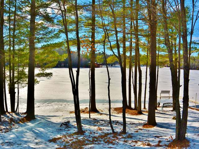 1763 Bayer Lake Road Woodruff, WI 54568 - Photo 6 of 20 Gallery Image 6