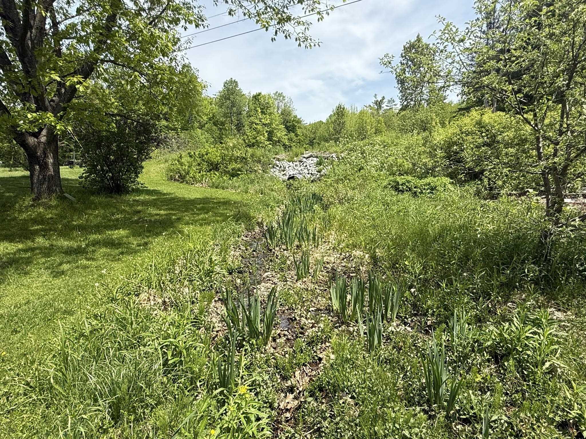 68 Gilbert Road Woodbury, VT 05650 - Photo 29 of 31