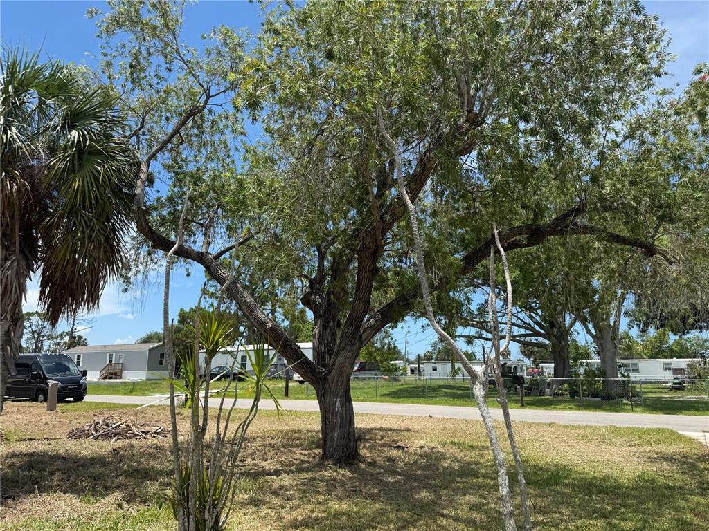 3825 Bravo Road Port Charlotte, FL 33953 - Photo 6 of 18