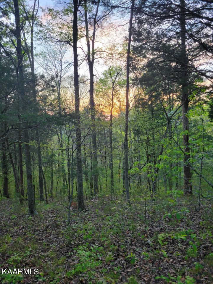 3 Holt Hollow Road Newport, TN 37821 - Photo 1 of 12 Tract 3 Holt Hollow Rd - 1