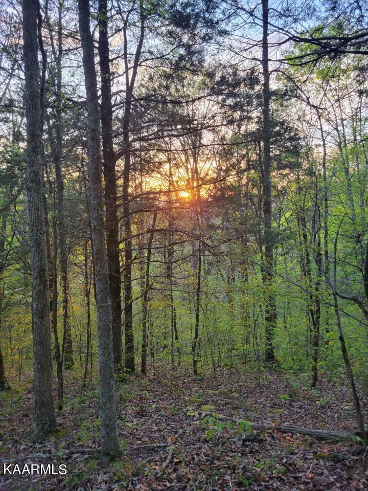 3 Holt Hollow Road Newport, TN 37821 - Photo 3 of 12 Tract 3 Holt Hollow Rd - 3