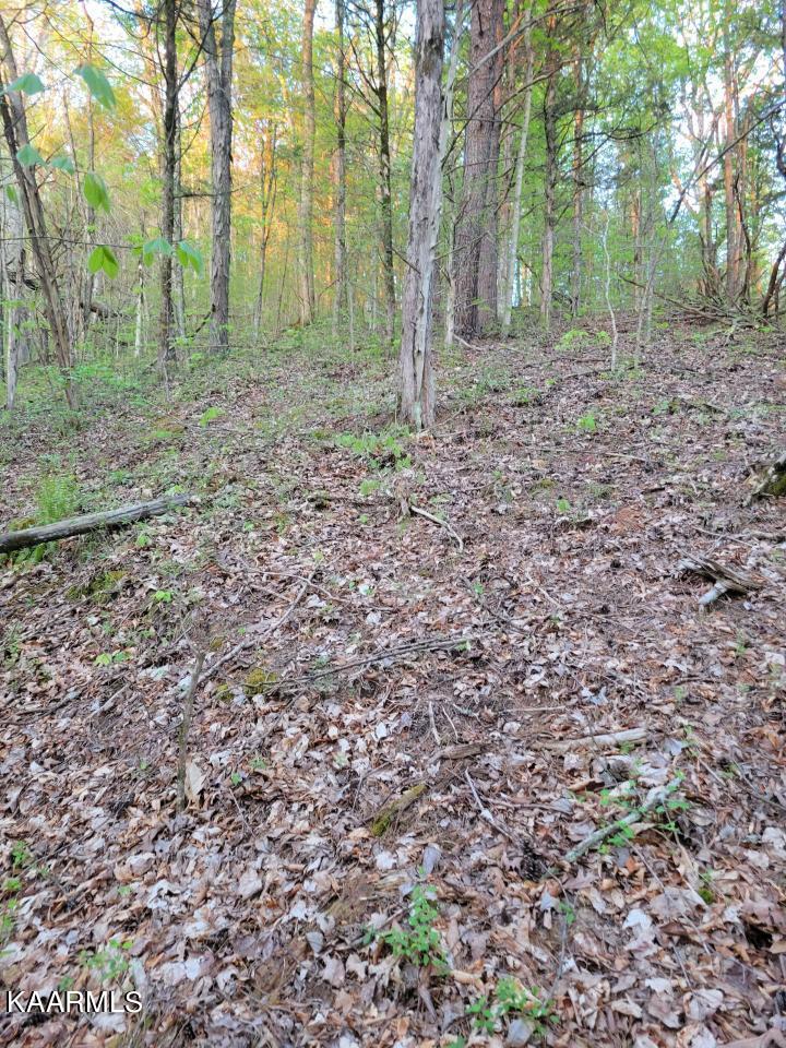 3 Holt Hollow Road Newport, TN 37821 - Photo 5 of 12 Tract 3 Holt Hollow Rd - 5