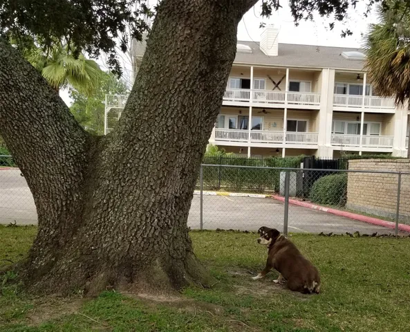 $209,000 | 4747 East NASA Parkway, Unit 102, Seabrook, TX 77586