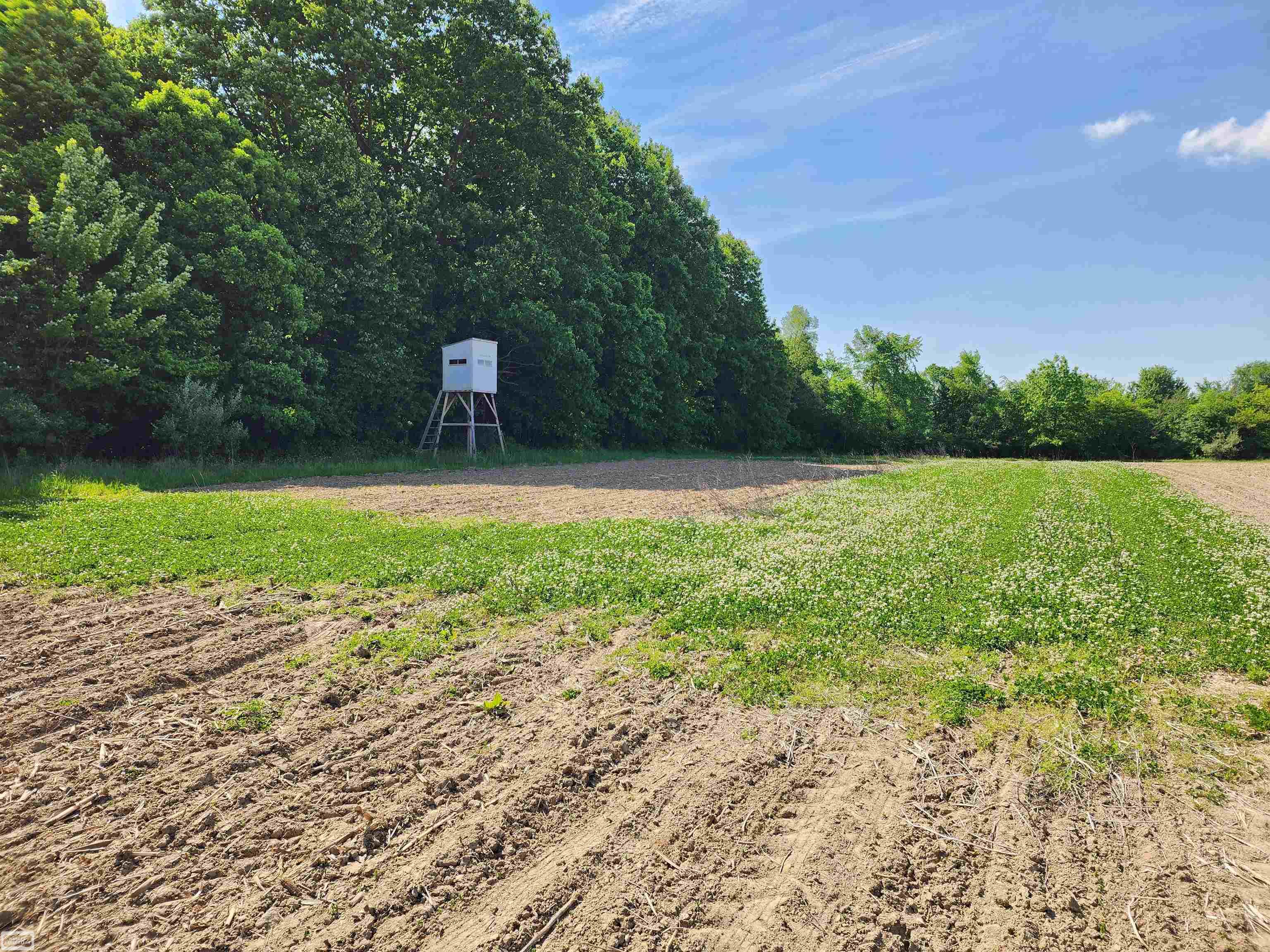 0 Brennan Road Avoca, MI 48006 - Photo 6 of 38