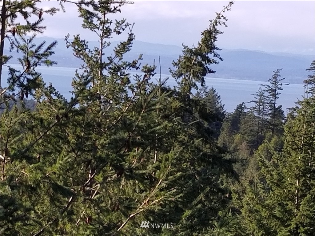 -nhn Capron Road Friday Harbor, WA 98250 - Photo 1 of 11 Gallery Image 1
