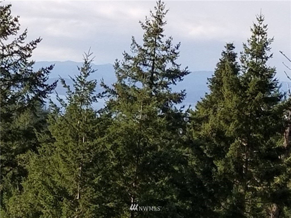 -nhn Capron Road Friday Harbor, WA 98250 - Photo 2 of 11 Gallery Image 2