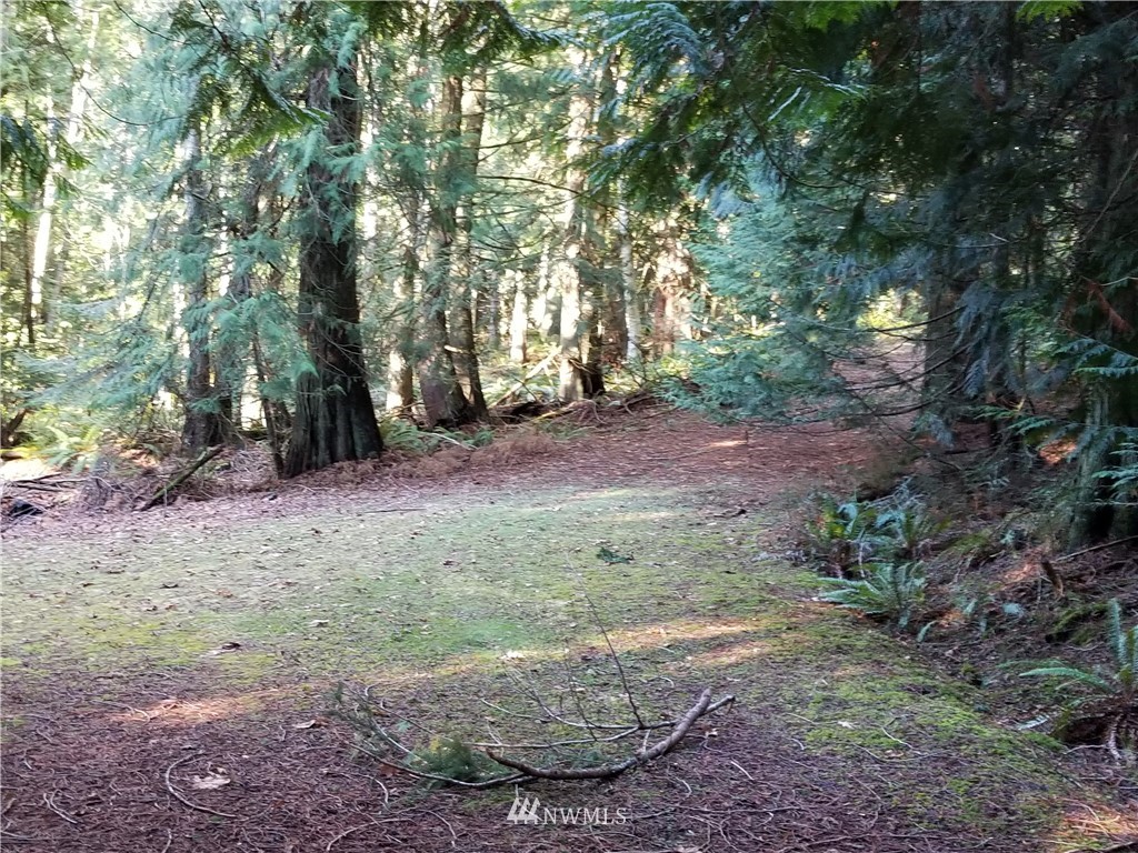 -nhn Capron Road Friday Harbor, WA 98250 - Photo 11 of 11 Gallery Image 11
