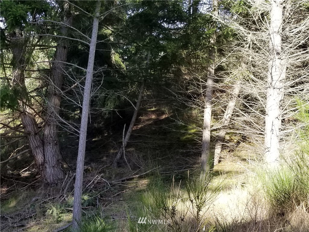 -nhn Capron Road Friday Harbor, WA 98250 - Photo 8 of 11 Gallery Image 8