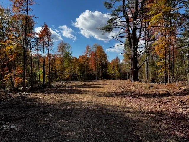 $84,000 | P/o M2-l7 P/o M2-l7 Thompson Road West, Harmony, ME 04942