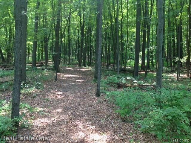 4228 Hough Road Dryden, MI 48428 - Photo 20 of 24 20 Trail View.jpg