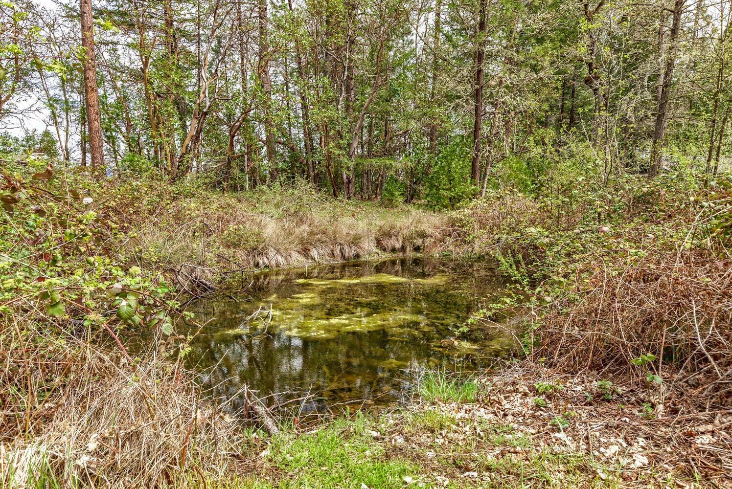 400 Tetherow Road Williams, OR 97544 - Photo 52 of 60 53
