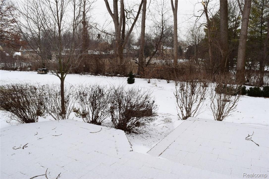 3382 Everett Drive Rochester, MI 48307 - Photo 76 of 92 RearYard (1) (Large).JPG