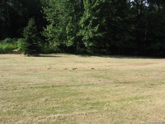 1370 South Van Dyke Road Decker, MI 48426 - Photo 7 of 12 1370_S._Van_Dyke_(8)