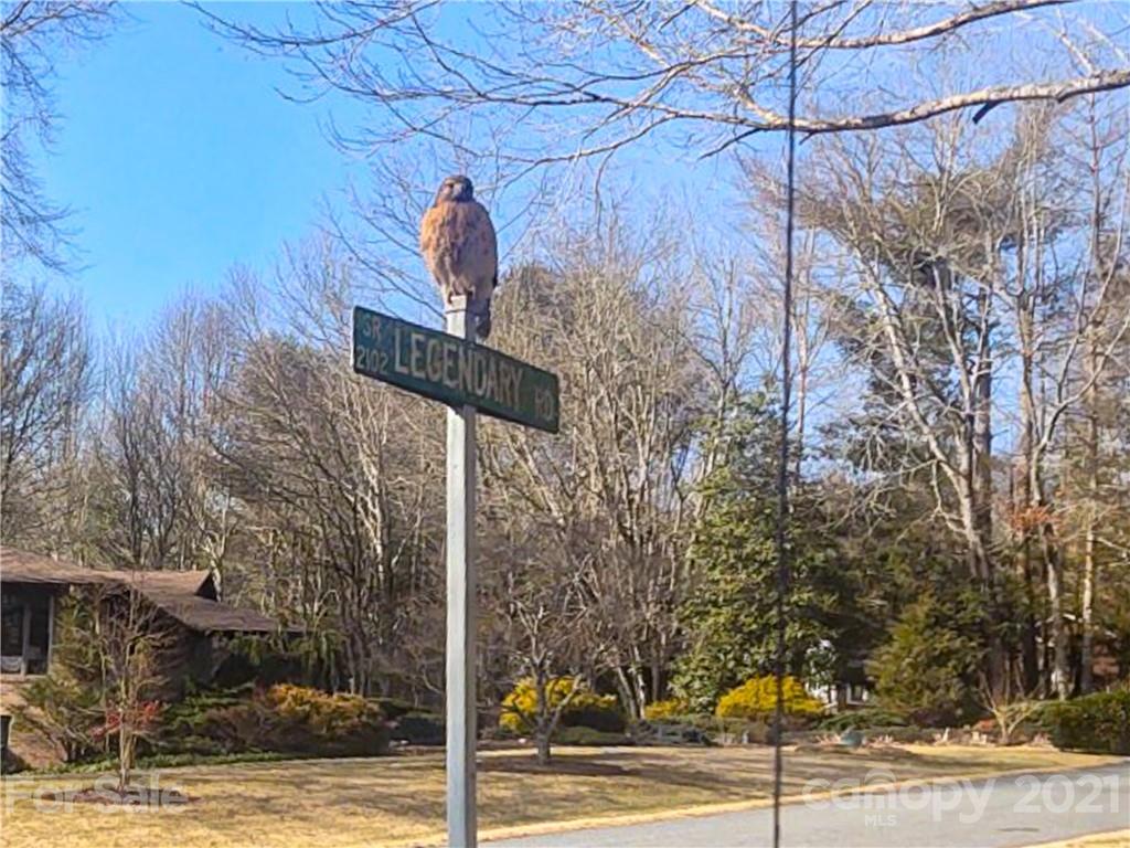 15 Legendary Road Hendersonville, NC 28739 - Photo 37 of 37 Gallery Image 37