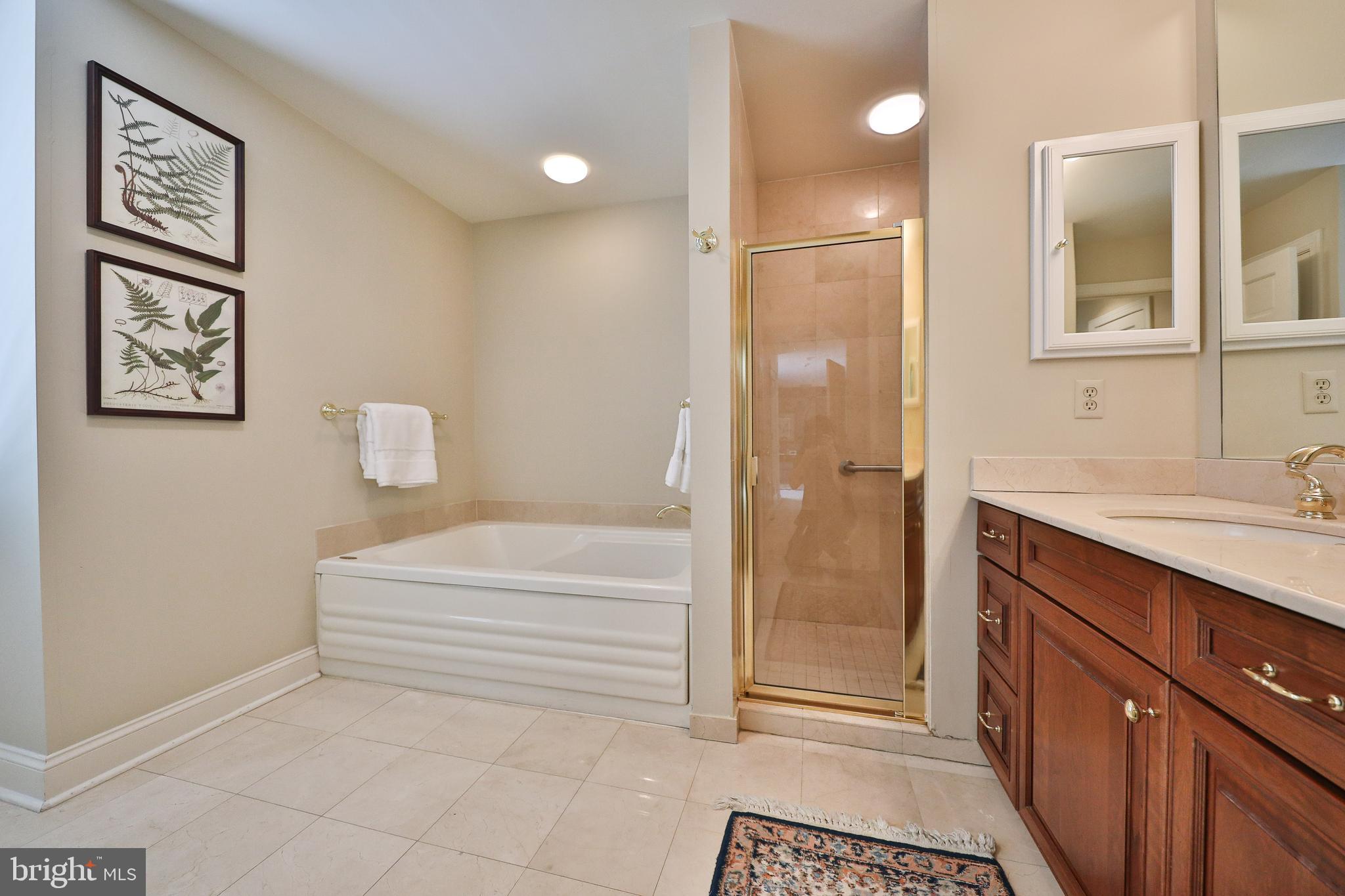 701 Pine Street Philadelphia, PA 19106 - Photo 24 of 32 Master Bath with Shower and Jacuzzi Tub